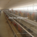 New chicken layer cage and poultry equipment supplier manufacturer